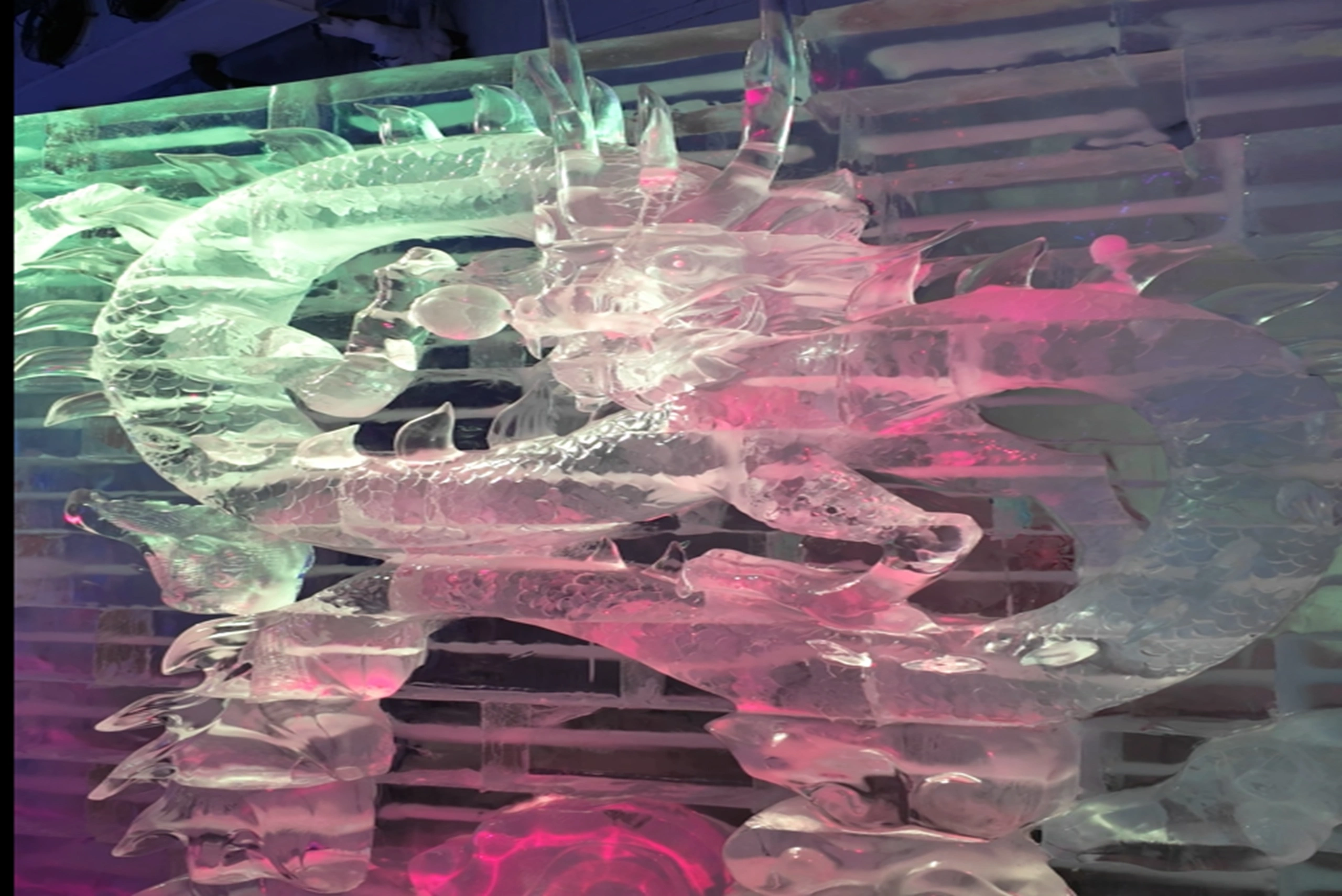 Frost magical (3) (1)