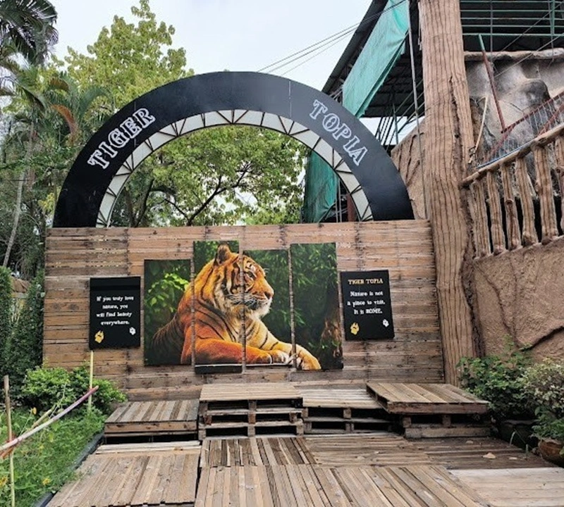 Tiger Topia Zoo Pattaya Travel Package