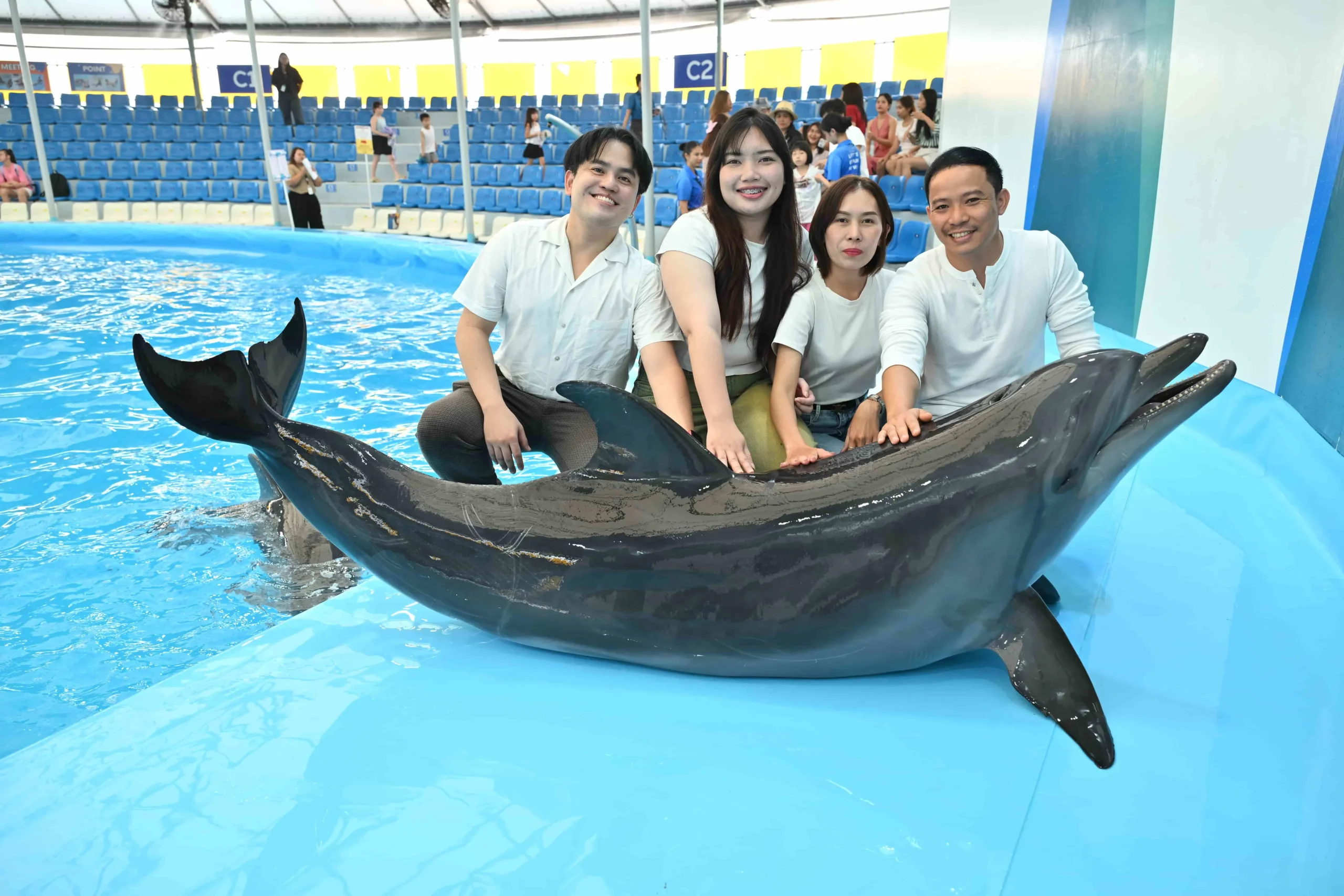 Happy families enjoying the interactive dolphin and seal show in Pattaya.